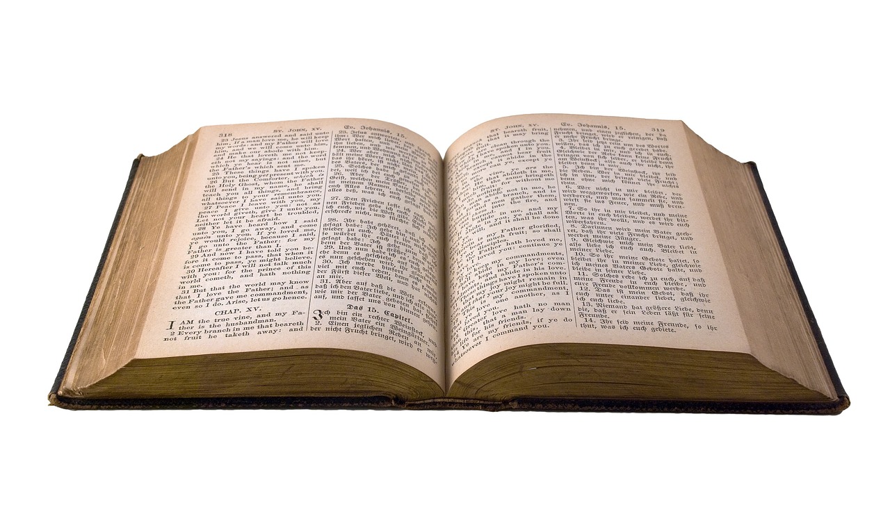 Ciresarii vol 1 - rezumat pe capitole