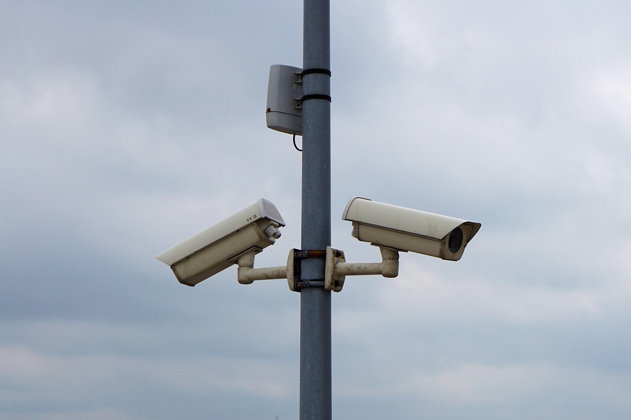 serviciul federal de securitate